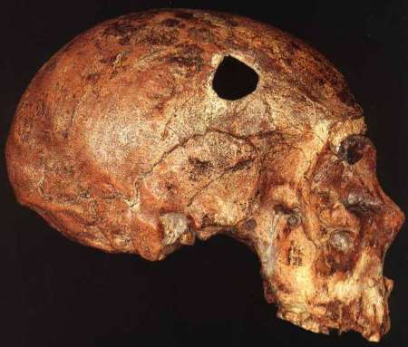 نخستین انسان 'نئاندرتال' 250 هزارسال پیش پا به ایتالیا گذاشت